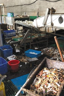 對手抹黑還是行業亂象？消毒餐具工廠曝光事件背后的博弈